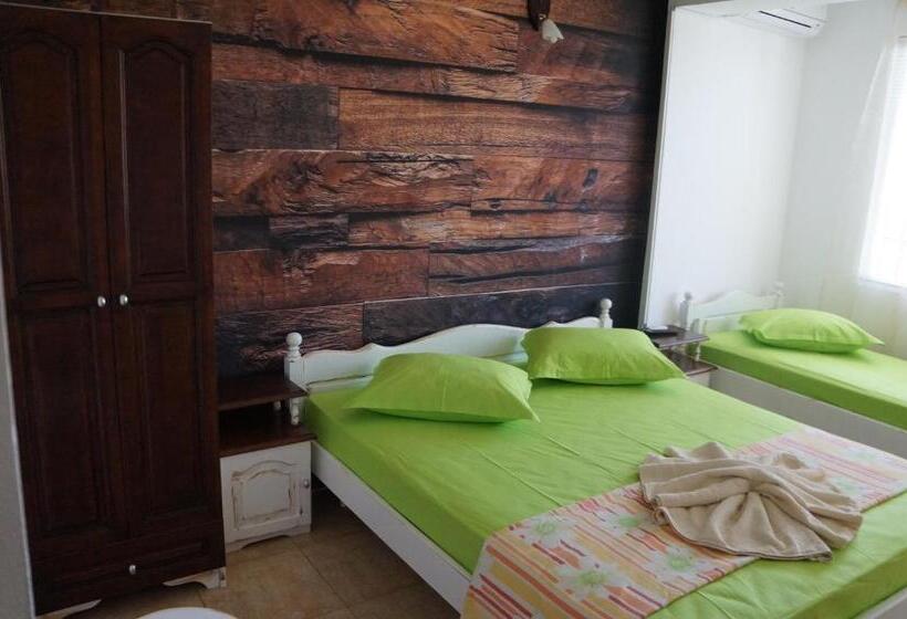 Трехместный Номер Классика, Guest House аnestievi