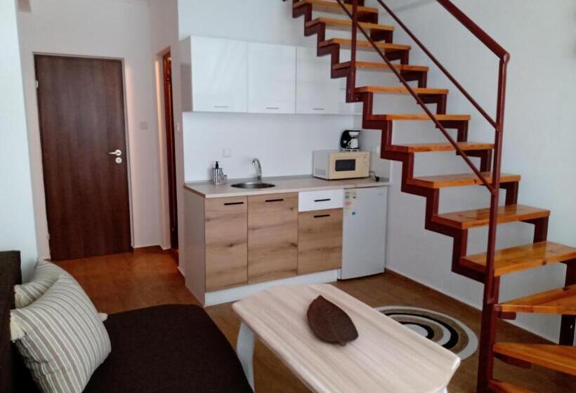 スタンダードスタジオ, Guest House аnestievi