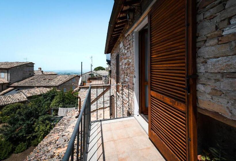 싱글 디럭스 룸, Roof Garden Rooms