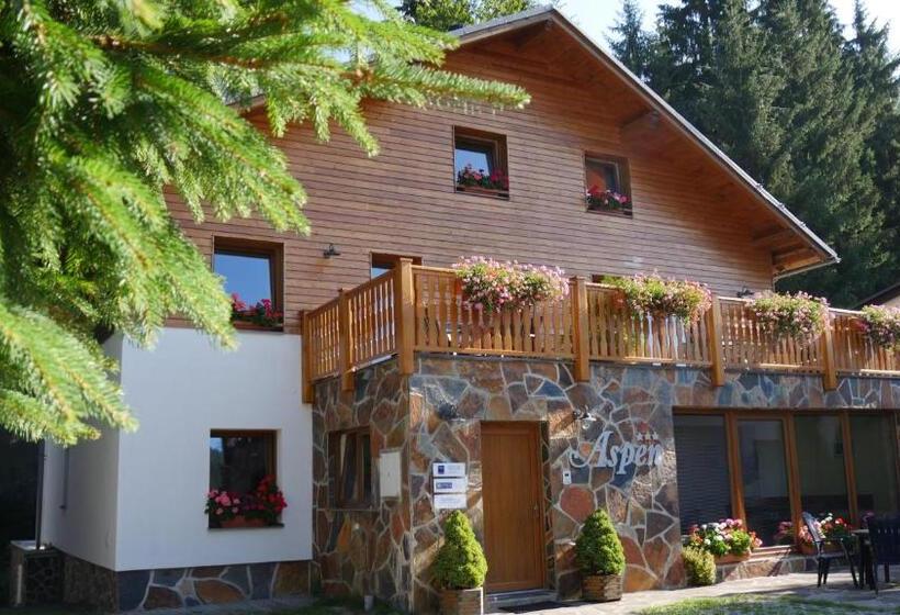 شقة غرفة نوم واحدة بالطابق الأرضى, Pension Aspen Harrachov