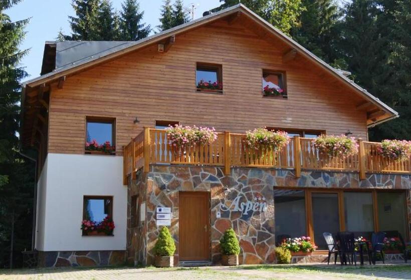 شقة غرفة نوم واحدة بالطابق الأرضى, Pension Aspen Harrachov