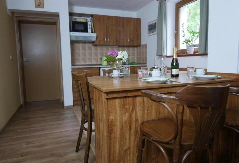 إستوديو قياسى, Pension Aspen Harrachov