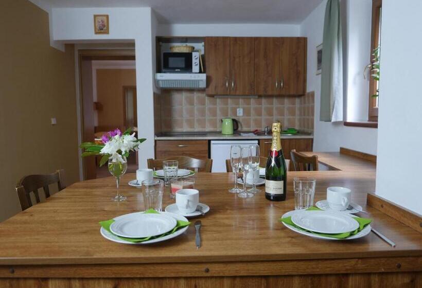 إستوديو قياسى, Pension Aspen Harrachov