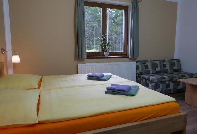 إستوديو قياسى, Pension Aspen Harrachov