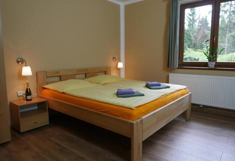 إستوديو قياسى, Pension Aspen Harrachov