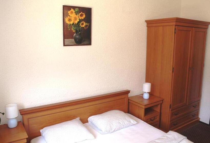 غرفة قياسية, Penzion Varšavjanka