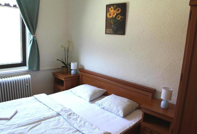 غرفة قياسية, Penzion Varšavjanka