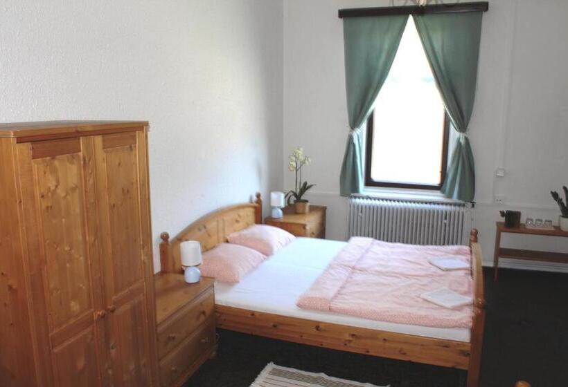 غرفة قياسية ثلاثية, Penzion Varšavjanka