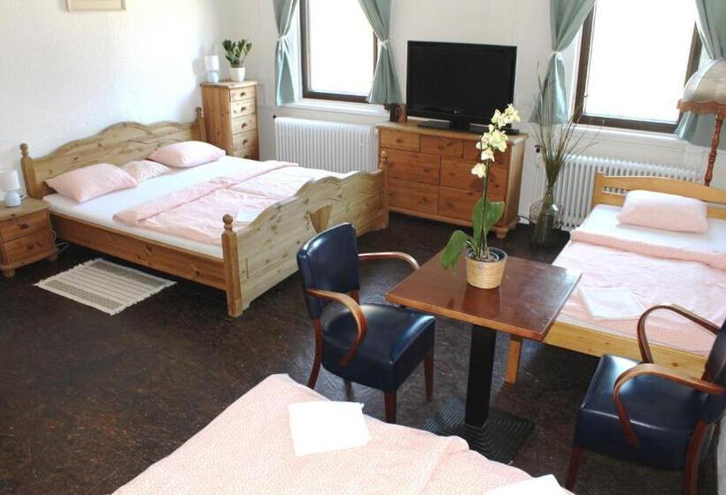 غرفة عادية خماسية, Penzion Varšavjanka