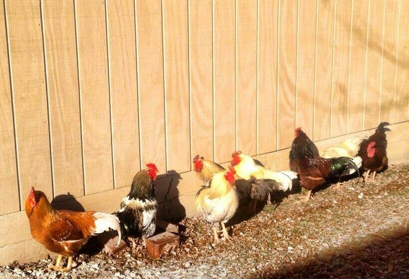 Номер Стандарт Совместная Ванная, Netherfield Natural Farm