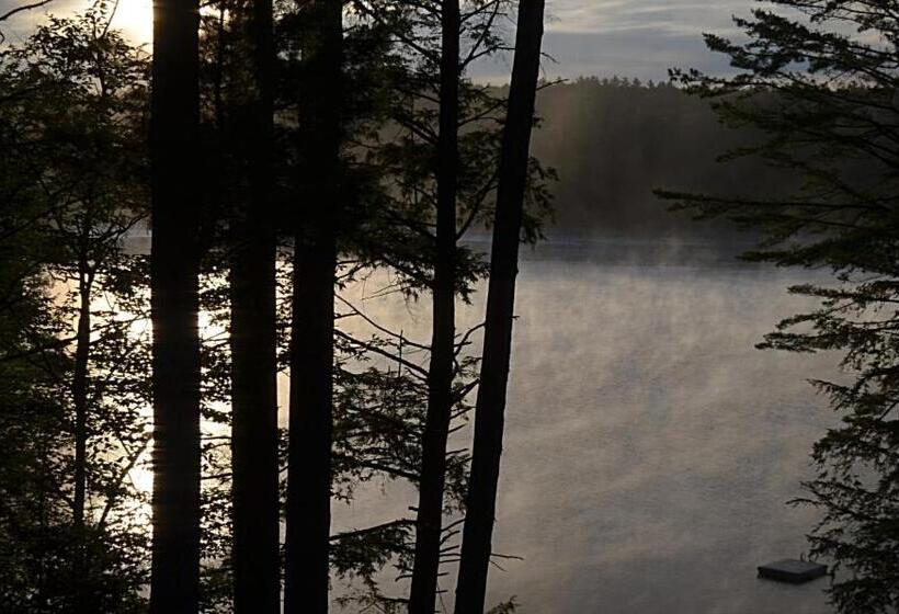 スーペリアースイート, The Fern Lodge