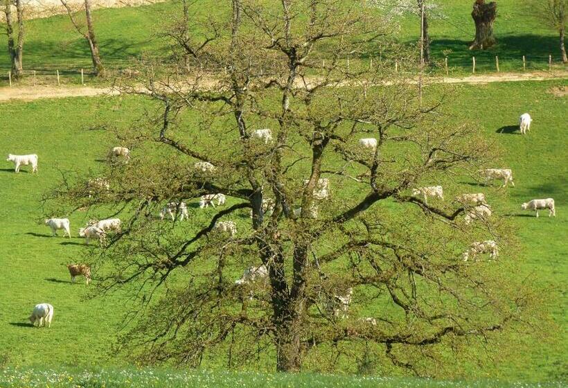 Хижина, Domaine Joseph Lafarge Wine Resort Oeno Tonneaux Expérience
