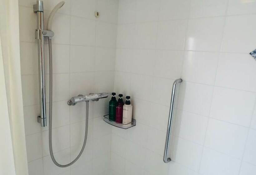 חדר סטנדרט יחיד, Apa  Okachimachiekikita S