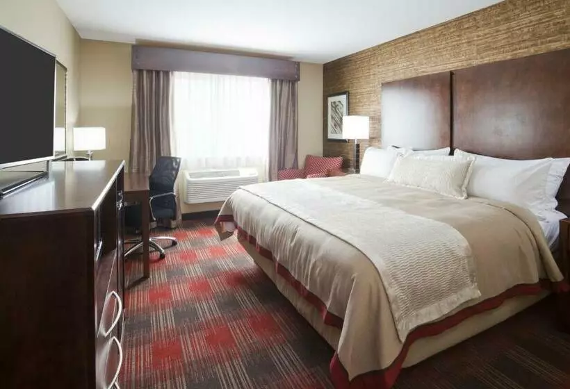 キングサイズベッドのスタンダードルーム, Gateway Park Hotel And Suites   Tea Sioux Falls