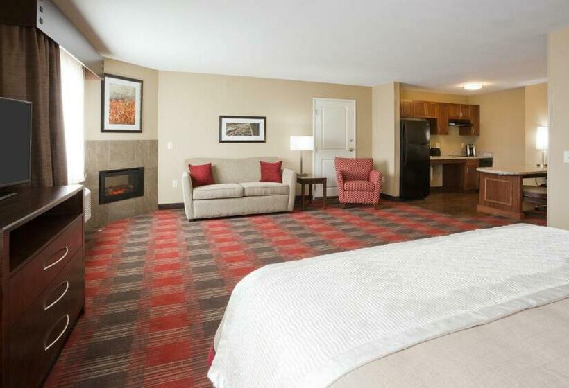 إستوديو قياسى سرير مزدوج, Gateway Park Hotel And Suites   Tea Sioux Falls