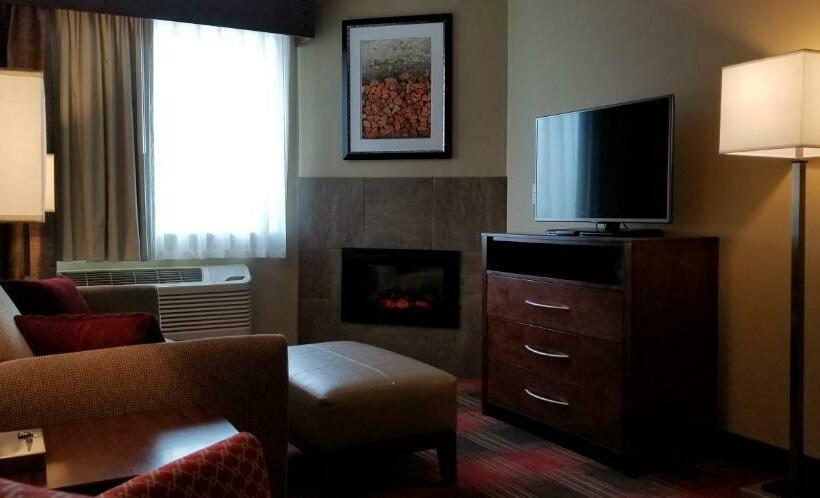 جناح ديلوكس سرير كينج, Gateway Park Hotel And Suites   Tea Sioux Falls