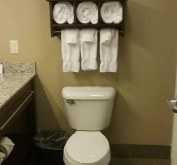 غرفة تنفيذية, Gateway Park Hotel And Suites   Tea Sioux Falls