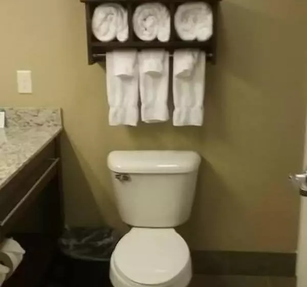 エクゼクティブルーム, Gateway Park Hotel And Suites   Tea Sioux Falls