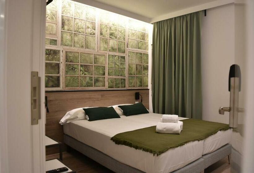 Номер Стандарт, Casp Green House