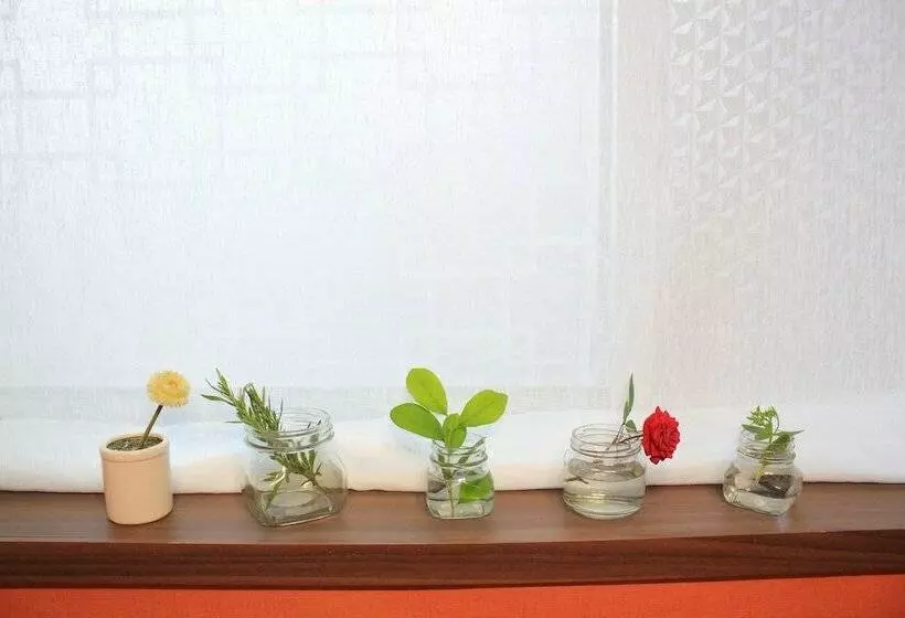 Chambre Standard, Seoraksan Park