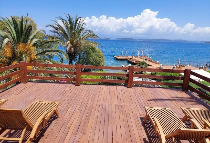 带1个卧室和海景的别墅, Casa Dell Arte Hotel Of Arts & Leisure