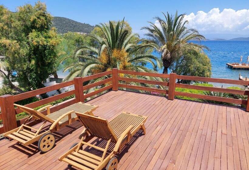 带1个卧室和海景的别墅, Casa Dell Arte Hotel Of Arts & Leisure