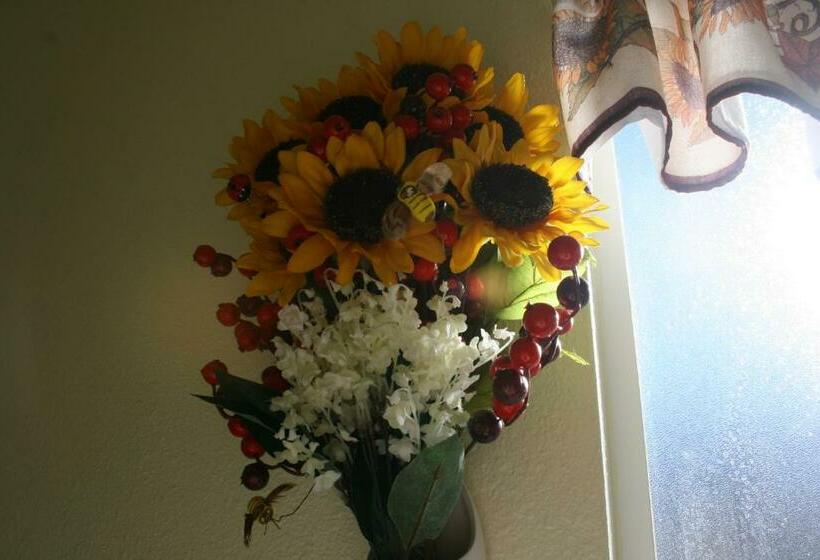 غرفة قياسية, Dreamcatcher Bed And Breakfast