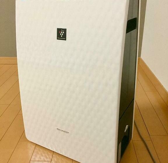 חדר סטנדרט לשלושה, Hatago Hashimoto