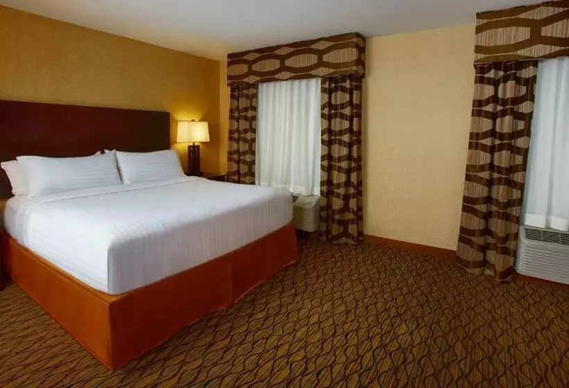 身障者適用キングサイズベッドルーム, Holiday Inn Express Bordentown   Trenton South, An Ihg