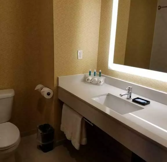 スタンダードルーム, Holiday Inn Express Bordentown   Trenton South, An Ihg