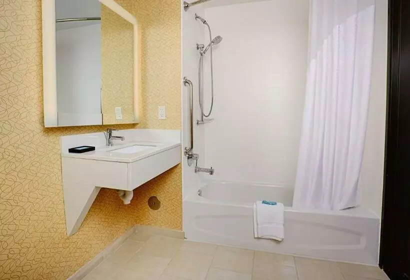 身障者適用キングサイズベッドルーム, Holiday Inn Express Bordentown   Trenton South, An Ihg