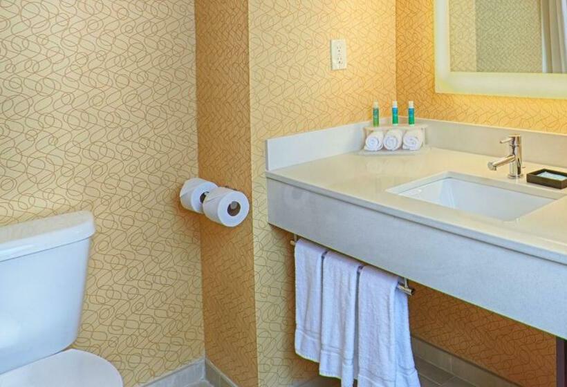 带大床的标准间, Holiday Inn Express Bordentown   Trenton South, An Ihg