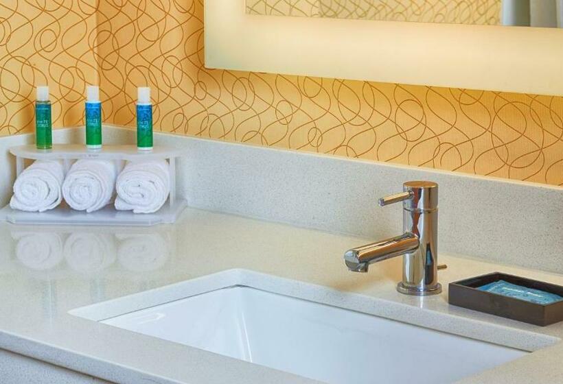 带大床的标准间, Holiday Inn Express Bordentown   Trenton South, An Ihg