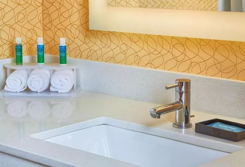 身障者適用スタンダードルーム, Holiday Inn Express Bordentown   Trenton South, An Ihg