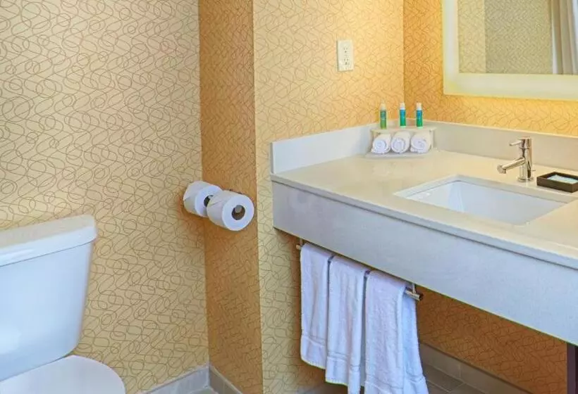 スーペリアールーム, Holiday Inn Express Bordentown   Trenton South, An Ihg