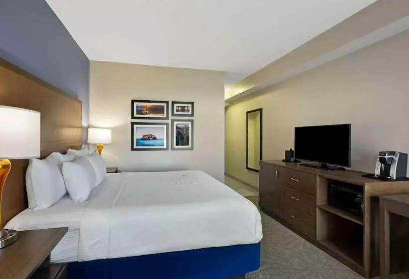 Executive-huone King-vuode, La Quinta By Wyndham Morgan Hill San Jose South