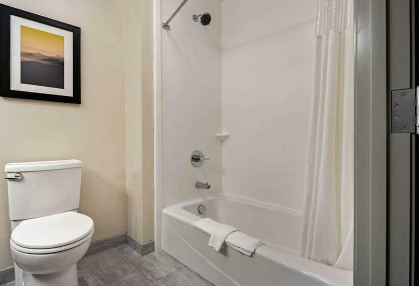 Номер Стандарт, La Quinta By Wyndham Morgan Hill San Jose South