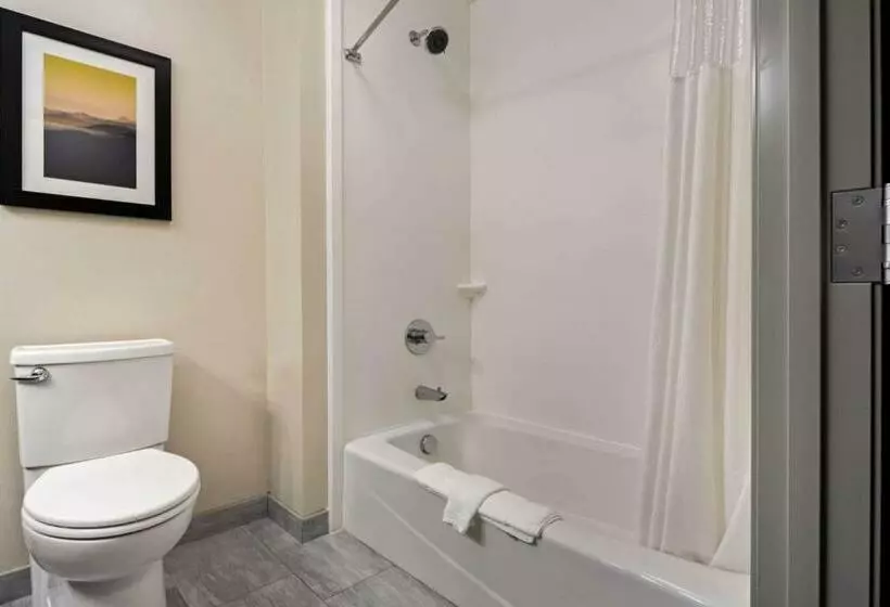 Standard-huone, La Quinta By Wyndham Morgan Hill San Jose South