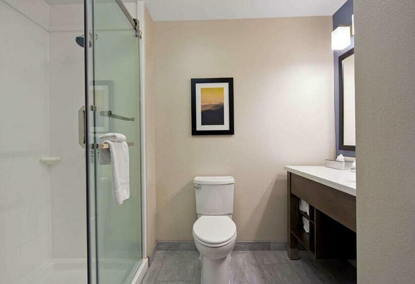 キングサイズベッドのスタンダードルーム, La Quinta By Wyndham Morgan Hill San Jose South