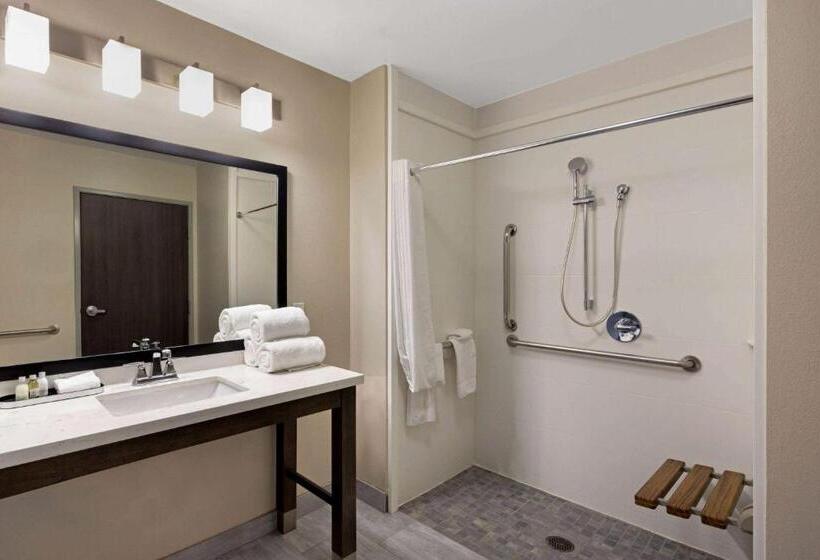 身障者適用キングサイズベッドルーム, La Quinta By Wyndham Morgan Hill San Jose South