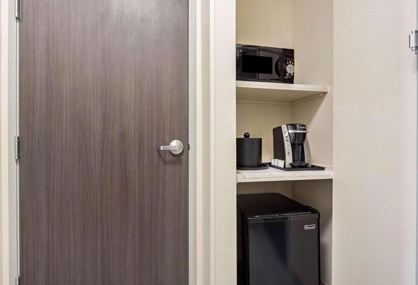 身障者適用キングサイズベッドルーム, La Quinta By Wyndham Morgan Hill San Jose South