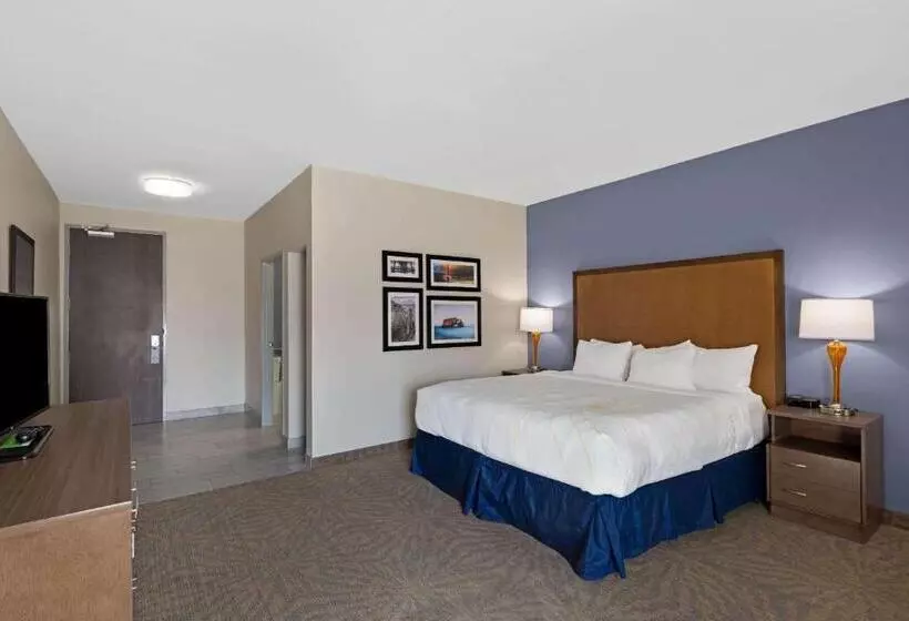 Standard-invahuone King-vuode, La Quinta By Wyndham Morgan Hill San Jose South