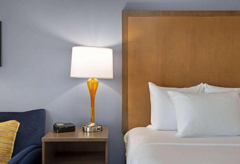 身障者適用スタンダードルーム, La Quinta By Wyndham Morgan Hill San Jose South