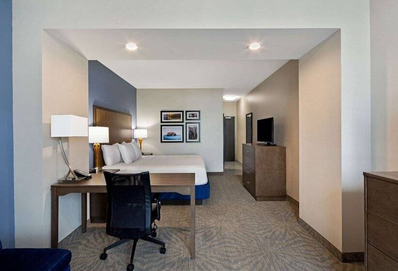 身障者適用スタンダードルーム, La Quinta By Wyndham Morgan Hill San Jose South