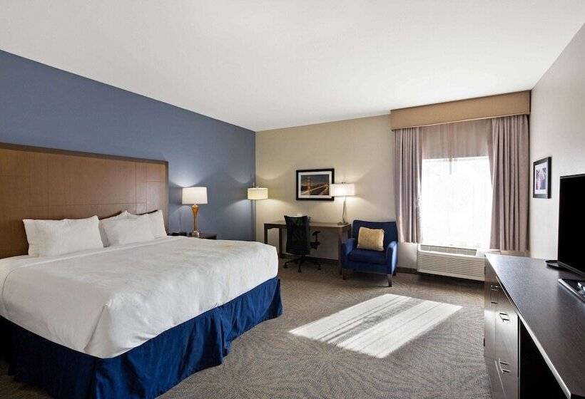 身障者適用スタンダードルーム, La Quinta By Wyndham Morgan Hill San Jose South