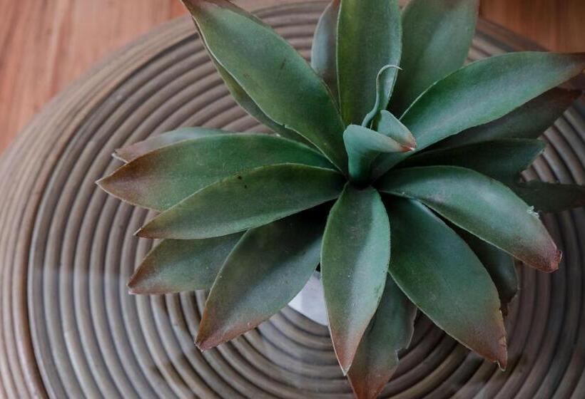 스탠다드 룸 가든 전망, 85 Ehmke Guesthouse