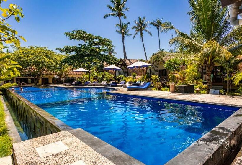 اتاق استاندارد با بالکن, Oceans 5 Dive Resort