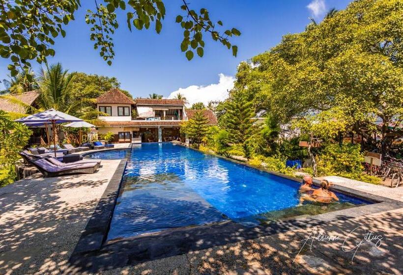 패밀리 룸, Oceans 5 Dive Resort