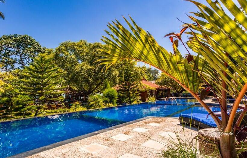 디럭스 패밀리 룸, Oceans 5 Dive Resort