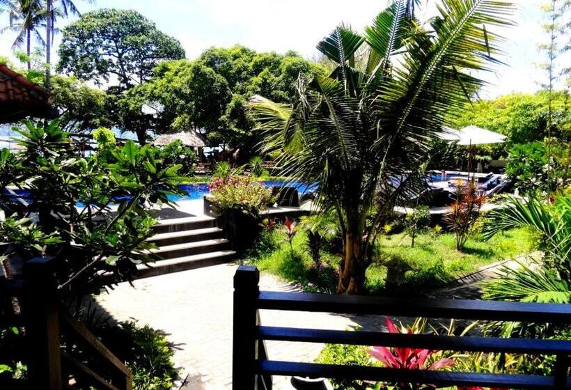 اتاق لوکس خانوادگی, Oceans 5 Dive Resort